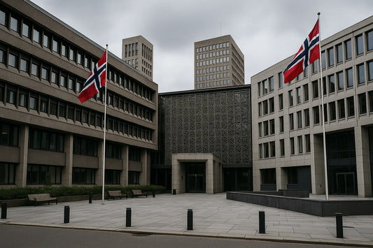 Regjeringen – Utøvende makt, men ingen slettemakt
