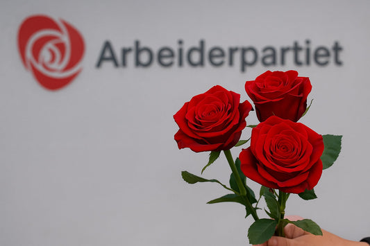 Arbeiderpartiet – mediepolitikk, pressefrihet og ansvar
