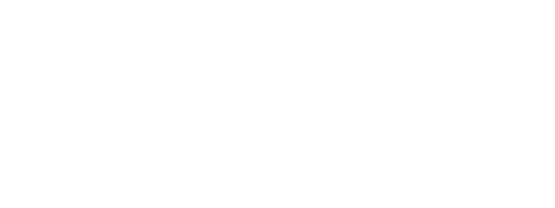 PresseVern — For uavhengig kontroll av media