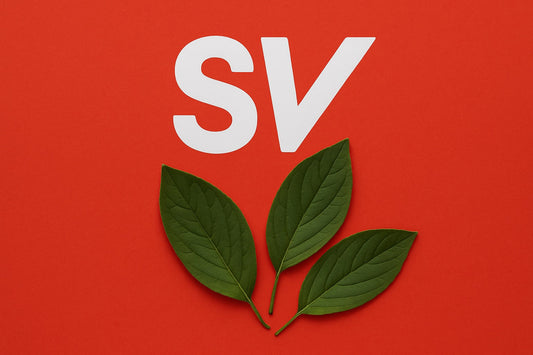 Sosialistisk Venstreparti – forsvarer mediestøtten, men hva med individvernet?